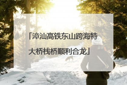 漳汕高铁东山跨海特大桥栈桥顺利合龙