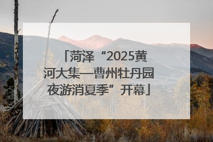 菏泽“2025黄河大集—曹州牡丹园夜游消夏季”开幕
