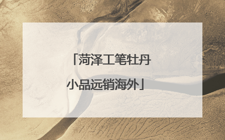 菏泽工笔牡丹小品远销海外