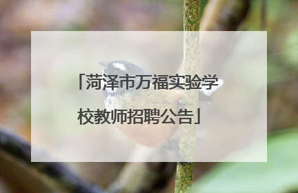 菏泽市万福实验学校教师招聘公告