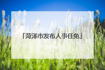 菏泽市发布人事任免
