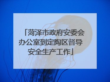 菏泽市政府安委会办公室到定陶区督导安全生产工作