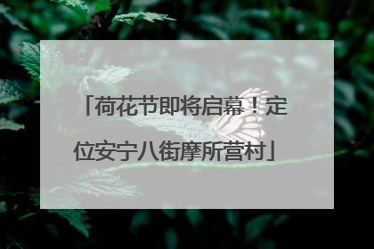 荷花节即将启幕！定位安宁八街摩所营村