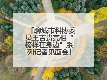 聊城市科协委员王吉贵亮相“榜样在身边”系列记者见面会
