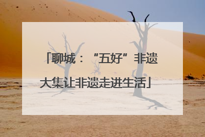 聊城：“五好”非遗大集让非遗走进生活