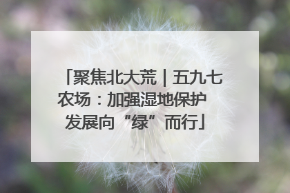 聚焦北大荒｜五九七农场：加强湿地保护 发展向“绿”而行