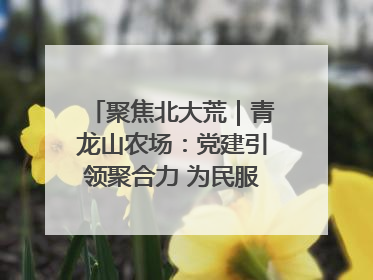 聚焦北大荒｜青龙山农场：党建引领聚合力 为民服务践初心