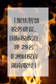聚焦智慧税务建设、国际税收治理 29名非洲财税官湖南取经