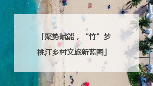 聚势赋能，“竹”梦桃江乡村文旅新蓝图