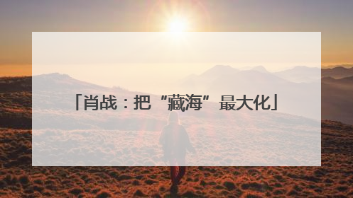 肖战：把“藏海”最大化