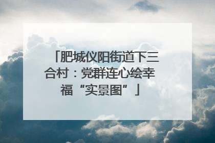 肥城仪阳街道下三合村：党群连心绘幸福“实景图”