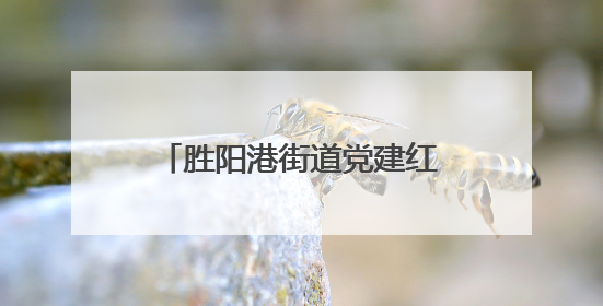 胜阳港街道党建红纽带，串起商居共治 “烟火圈”