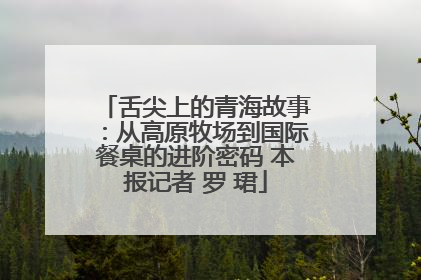 舌尖上的青海故事：从高原牧场到国际餐桌的进阶密码 本报记者 罗 珺