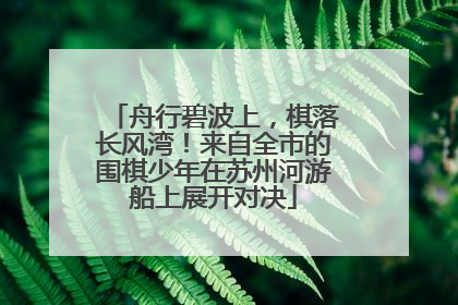 舟行碧波上，棋落长风湾！来自全市的围棋少年在苏州河游船上展开对决