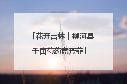 花开吉林｜柳河县千亩芍药竞芳菲