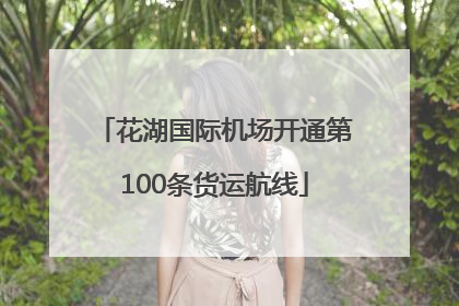 花湖国际机场开通第100条货运航线