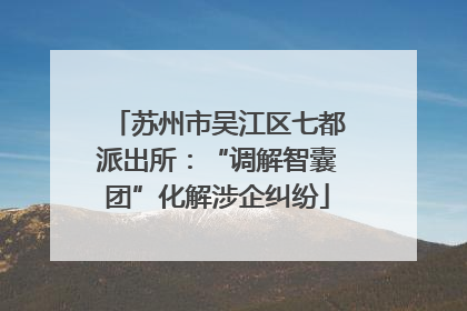 苏州市吴江区七都派出所：“调解智囊团”化解涉企纠纷
