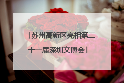 苏州高新区亮相第二十一届深圳文博会