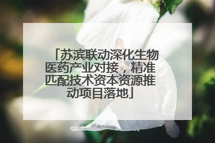 苏滨联动深化生物医药产业对接，精准匹配技术资本资源推动项目落地