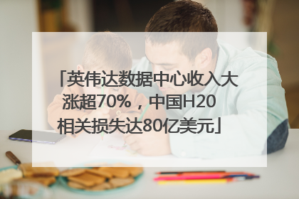 英伟达数据中心收入大涨超70%，中国H20相关损失达80亿美元