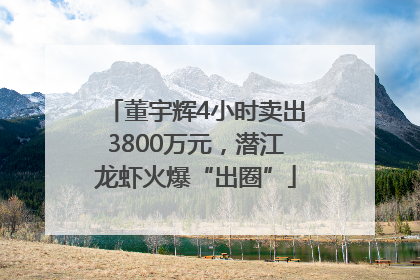 董宇辉4小时卖出3800万元，潜江龙虾火爆“出圈”