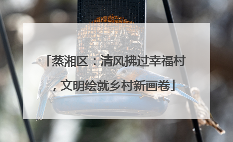 蒸湘区：清风拂过幸福村，文明绘就乡村新画卷