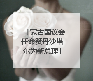 蒙古国议会任命赞丹沙塔尔为新总理