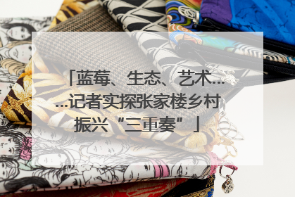蓝莓、生态、艺术……记者实探张家楼乡村振兴“三重奏”
