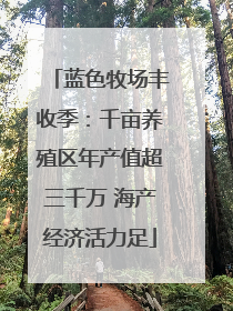 蓝色牧场丰收季：千亩养殖区年产值超三千万 海产经济活力足