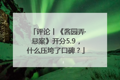 评论丨《酱园弄·悬案》开分5.9，什么压垮了口碑？