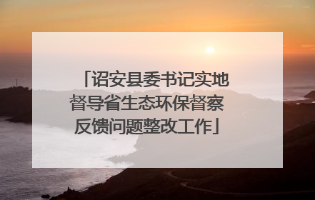 诏安县委书记实地督导省生态环保督察反馈问题整改工作