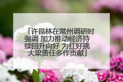 许昆林在常州调研时强调 加力推动经济持续回升向好 为扛好挑大梁责任多作贡献