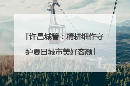许昌城管：精耕细作守护夏日城市美好容颜