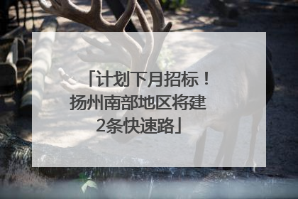 计划下月招标！扬州南部地区将建2条快速路