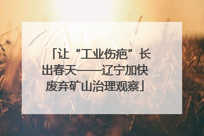 让“工业伤疤”长出春天——辽宁加快废弃矿山治理观察
