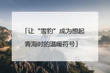 让“雪豹”成为想起青海时的温暖符号