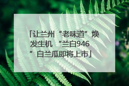 让兰州“老味道”焕发生机 “兰白946”白兰瓜即将上市