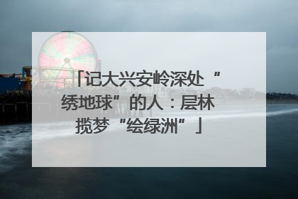 记大兴安岭深处“绣地球”的人：层林揽梦“绘绿洲”