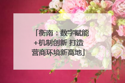 衡南：数字赋能+机制创新 打造营商环境新高地