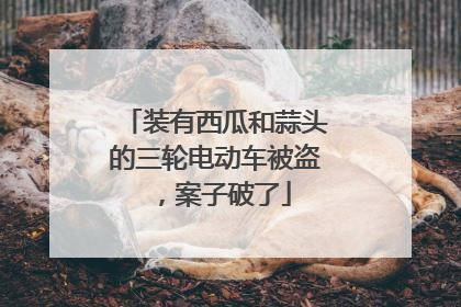 装有西瓜和蒜头的三轮电动车被盗，案子破了