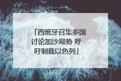 西班牙召集多国讨论加沙局势 呼吁制裁以色列