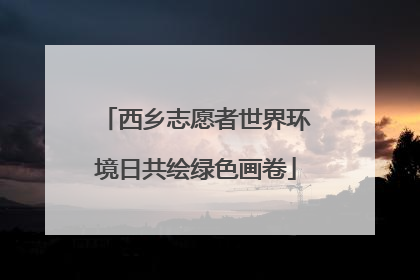 西乡志愿者世界环境日共绘绿色画卷