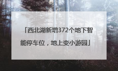 西北湖新增372个地下智能停车位，地上变小游园