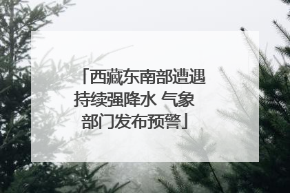 西藏东南部遭遇持续强降水 气象部门发布预警