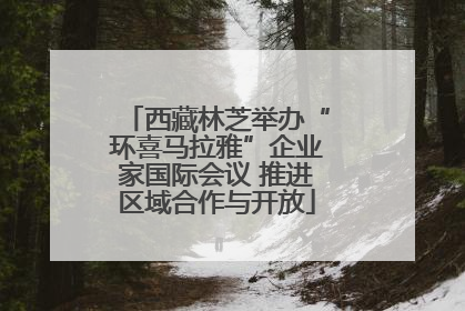 西藏林芝举办“环喜马拉雅”企业家国际会议 推进区域合作与开放