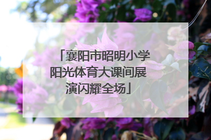 襄阳市昭明小学阳光体育大课间展演闪耀全场