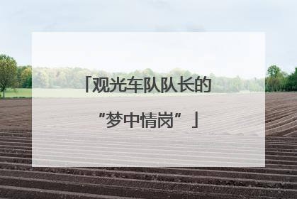 观光车队队长的“梦中情岗”