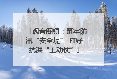 观音阁镇：筑牢防汛“安全堤” 打好抗洪“主动仗”
