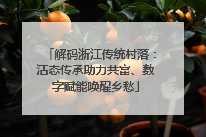 解码浙江传统村落：活态传承助力共富、数字赋能唤醒乡愁