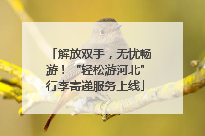 解放双手，无忧畅游！“轻松游河北”行李寄递服务上线